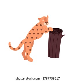 Wild leopard isolated on a white background. Tigers population. Protect animals. Flat Art Vector Illustration