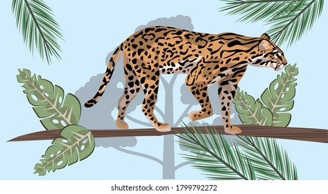 wild leopard in the landscape scene vector illustration design
