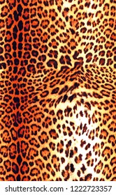Wild leopard pattern