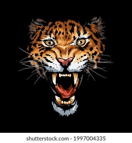 wild leopard roaring face on black background vector illustration