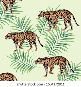 wild leopards with tropical leaves vector illustration design