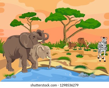 The wild life