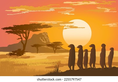 Vida salvaje en África, Merkats en la naturaleza africana al atardecer, ilustración vectorial aislada