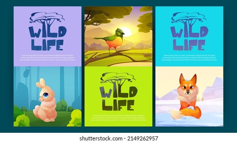 Carteles de dibujos animados de vida silvestre con animales del bosque y aves en el paisaje natural del paisaje. Emblemas de protección del medio ambiente con símbolo de árbol, conejo lindo, zorro y pájaro sentados en la rama, ilustración vectorial