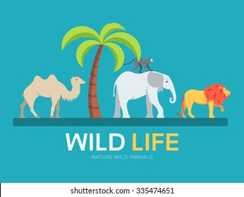 Wild life in flat design icon background