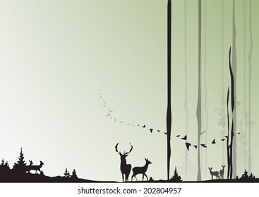 Wild life in forest