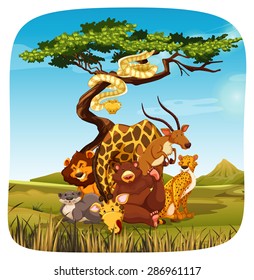 Wild life in a safari with a white background