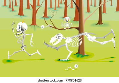 wild life of skeletons
