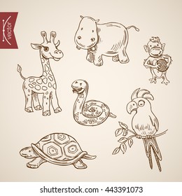 Wild life zoo comic friendly funny animal icon set. Engraving style pen pencil crosshatch hatching paper painting retro vintage vector lineart illustration. Giraffe monkey snake hippo turtle parrot.