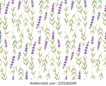 Wild lilac flowers Seamless pattern. Lavender plant. Vector flat grass lavender Illustration. For wallpaper, print, textile, scrapbooking, cover desig. Medical plant. For birthday, wedding Invitation.