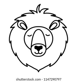 wild lion animal head