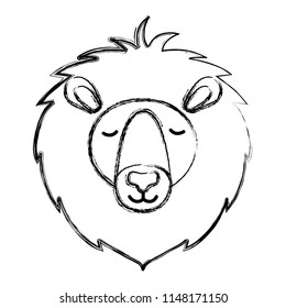 wild lion animal head