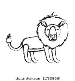 wild lion animal isolated