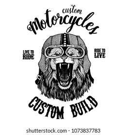 Wild lion. Biker, motorcycle animal. Hand drawn image for tattoo, emblem, badge, logo, patch, t-shirt