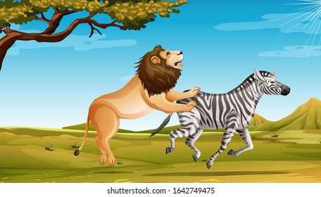 Wild Lion Hunting Zebra In The Savannah Field Illustration