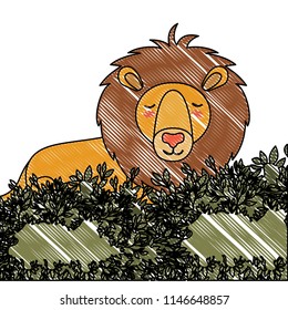 wild lion in the jungle scene