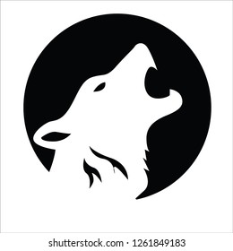 Wild Lion Predator 