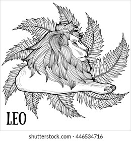 Wild Lion zentangle artwork.  Animal zentangle illustration. Zoo and safari theme vector. Ethnic boho ornament. Coloring book page.  tattoo, poster, print, t-shirt.