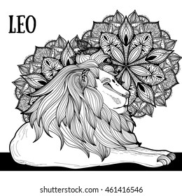 Wild lion zentangle artwork.  Animal zentangle illustration. Zoo and safari theme vector. Ethnic boho ornament. Coloring book page.  tattoo, poster, print, t-shirt.