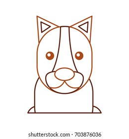 Wild lioness isolated icon