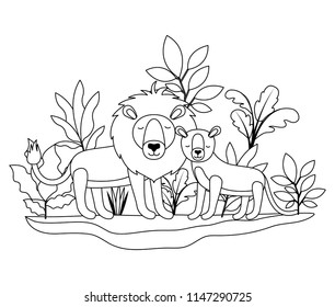 wild lions couple in the jungle