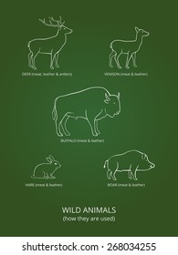 Wild live animals poster on green gradient background