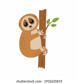 Wild loris on the branch. Vector illustration
