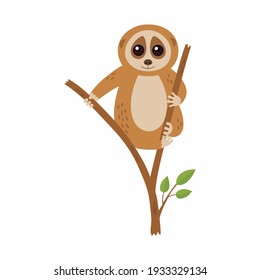 Wild loris on the branch. Vector illustration