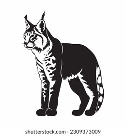 wild lynx , bobcat black and white vector design