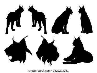 wild lynx cats black vector silhouette set - standing, sitting and roaring animal outlines and heads