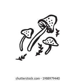 Wild magic mushroom for magician witchcraft hand drawn illustration