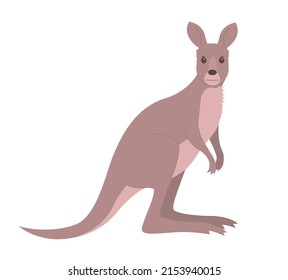 Wild mammal kangaroo on a white background. Marsupial animal of Australia. Vector cartoon isolated illustration