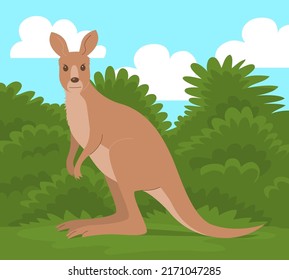 Wild mammal kangarooon a background of green nature. Wildlife animal. Marsupial animal of Australia. Vector cartoon illustration