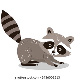 Wild mammal raccoon animal smiling cute