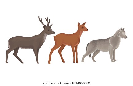 Wild Mammals Like Deer with Antlers and Wolf as Forest Habitant Vector Set