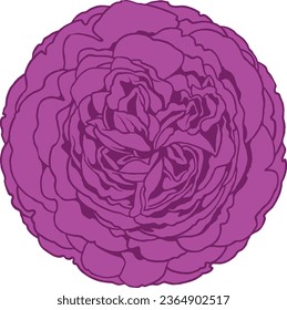 Wild Mauve Roses Isolated Vector Illustration 