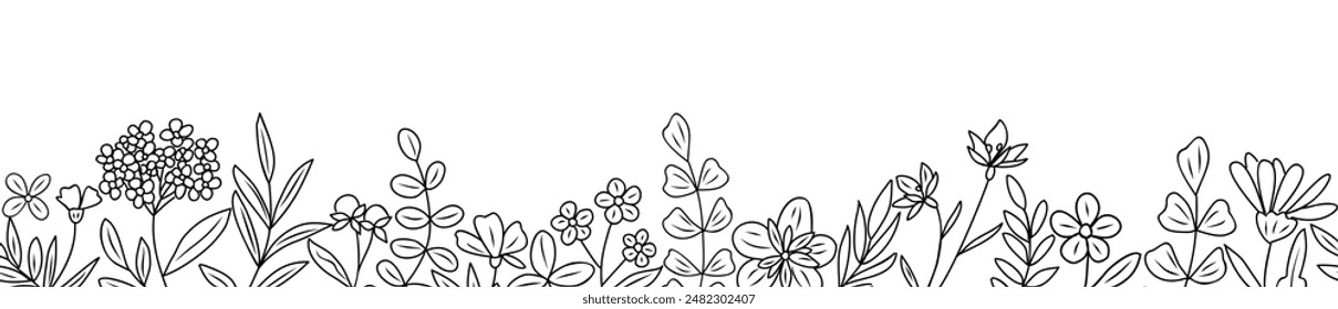 Wild meadow flowers and herbs border. Horizontal seamless banner, floral overlay backdrop. Botanical monochrome ink sketch style hand drawn vector illustration isolated on white background.