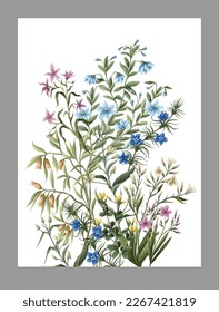 Wild meadow flowers isolated. Vector.