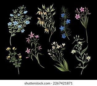 Wild meadow flowers isolated. Vector