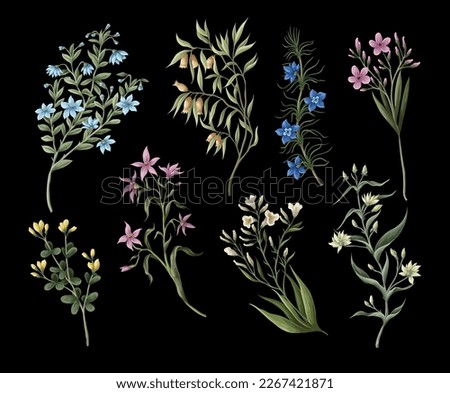 Wild meadow flowers isolated. Vector