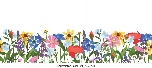 Wild meadow flowers seamless border. Beautiful field herbs, decorative blossom plants, spring summer botany herbal horizontal background. Poppies, dandelions and sunflowers vector frame