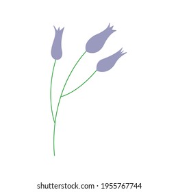 Wild meadow flowers. Twig with three buds. Colorful hand drawn vector isolated illustration. Abstract flowers