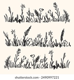 Wild meadow grasses, wildflowers, spikelets, inflorescences. Lawn, herbal plants, long banner With illustration style doodle and line art