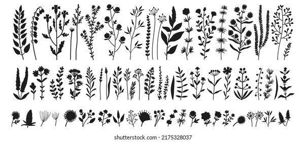 Wild meadow herbs flowering flowers Vector Silhouettes Collections