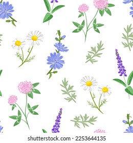 Wild meadow herbs and flowers seamless pattern. Botanical floral background. Vector cartoon illustration of clover, chamomile, chicory, wormwood and sage.