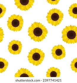 Wild meadow sunflower seamless on a white background