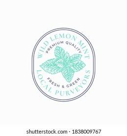 Wild Mint Frame Badge or Logo Template. Hand Drawn Menthol Leaves Branch Sketch with Retro Typography and Borders. Vintage Herbs or Spice Premium Emblem. Isolated.