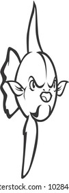 Wild Mola Illustration