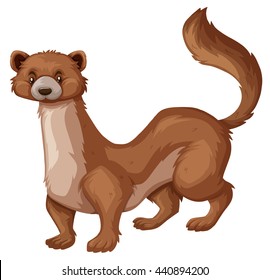 Wild mongoose with brown fur illustration