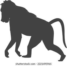 Wild monkey black silhouette. Primate symbol. Zoo animal